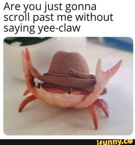 12b1e0c1ea5fd3861c5262cf8f1037c811cbf666f47bf1b4c5dfd22d70cb4fa2_1.jpg.jpg