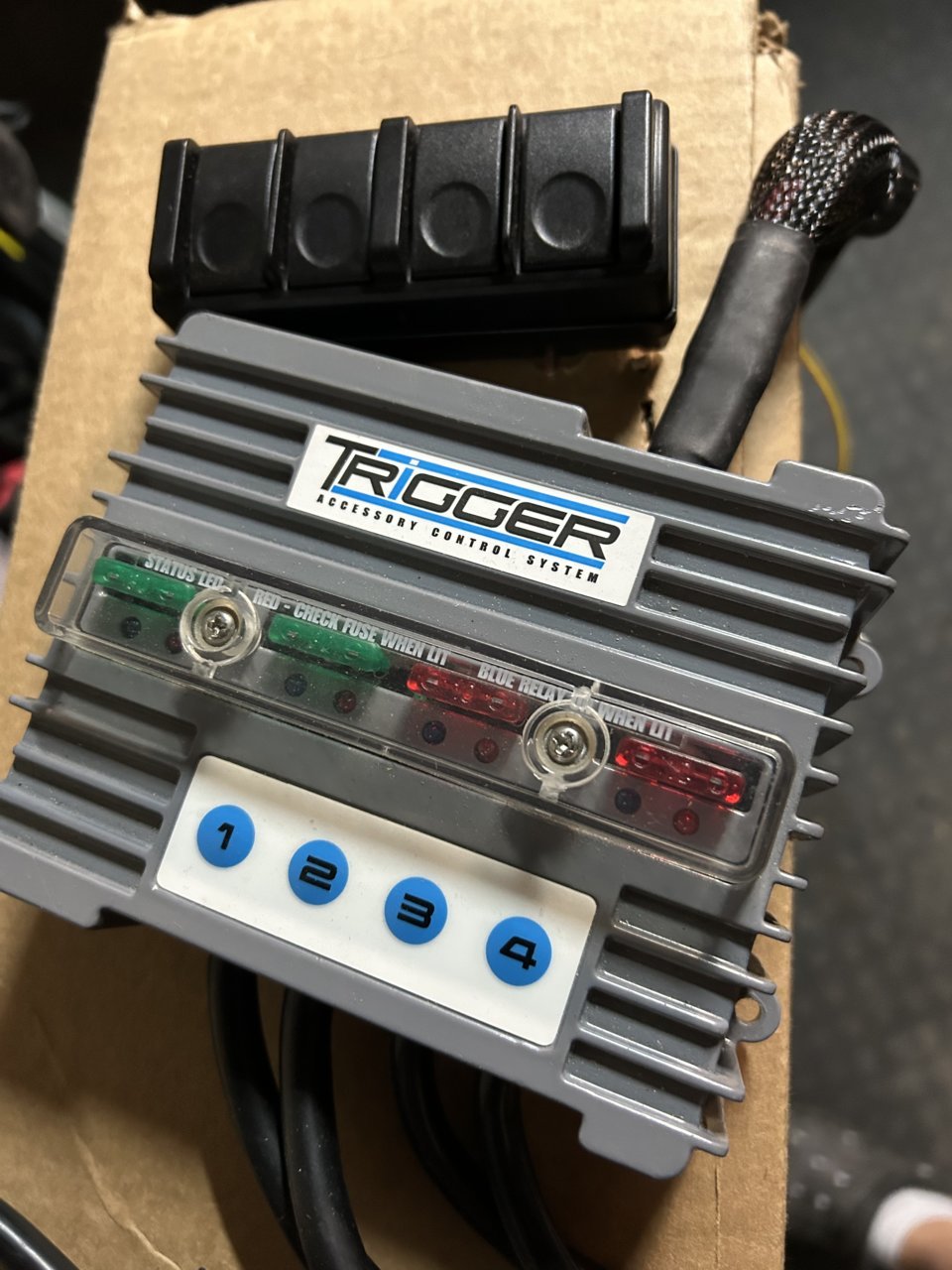 12FD7329-76BF-40DB-87DD-6BDAD322D60E.jpg