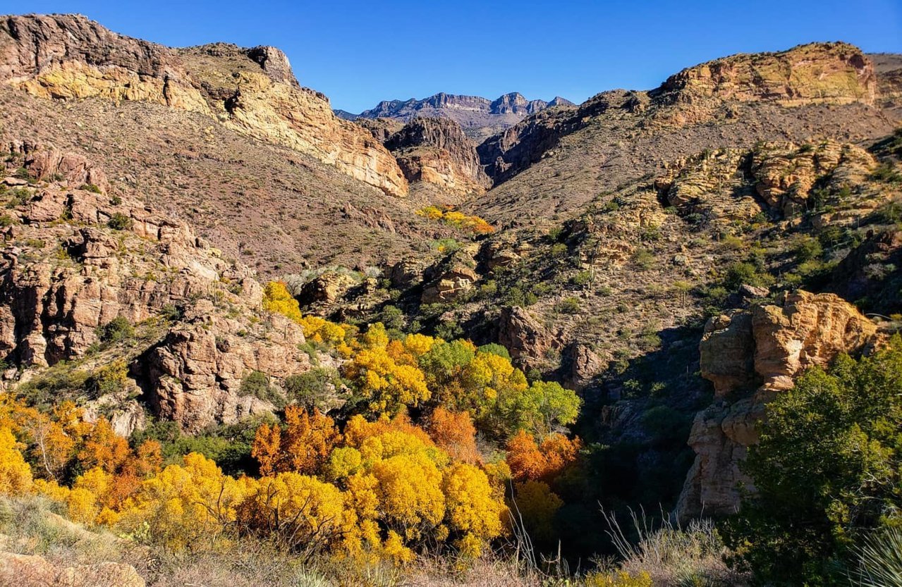 Redfield Loop Tucson Area