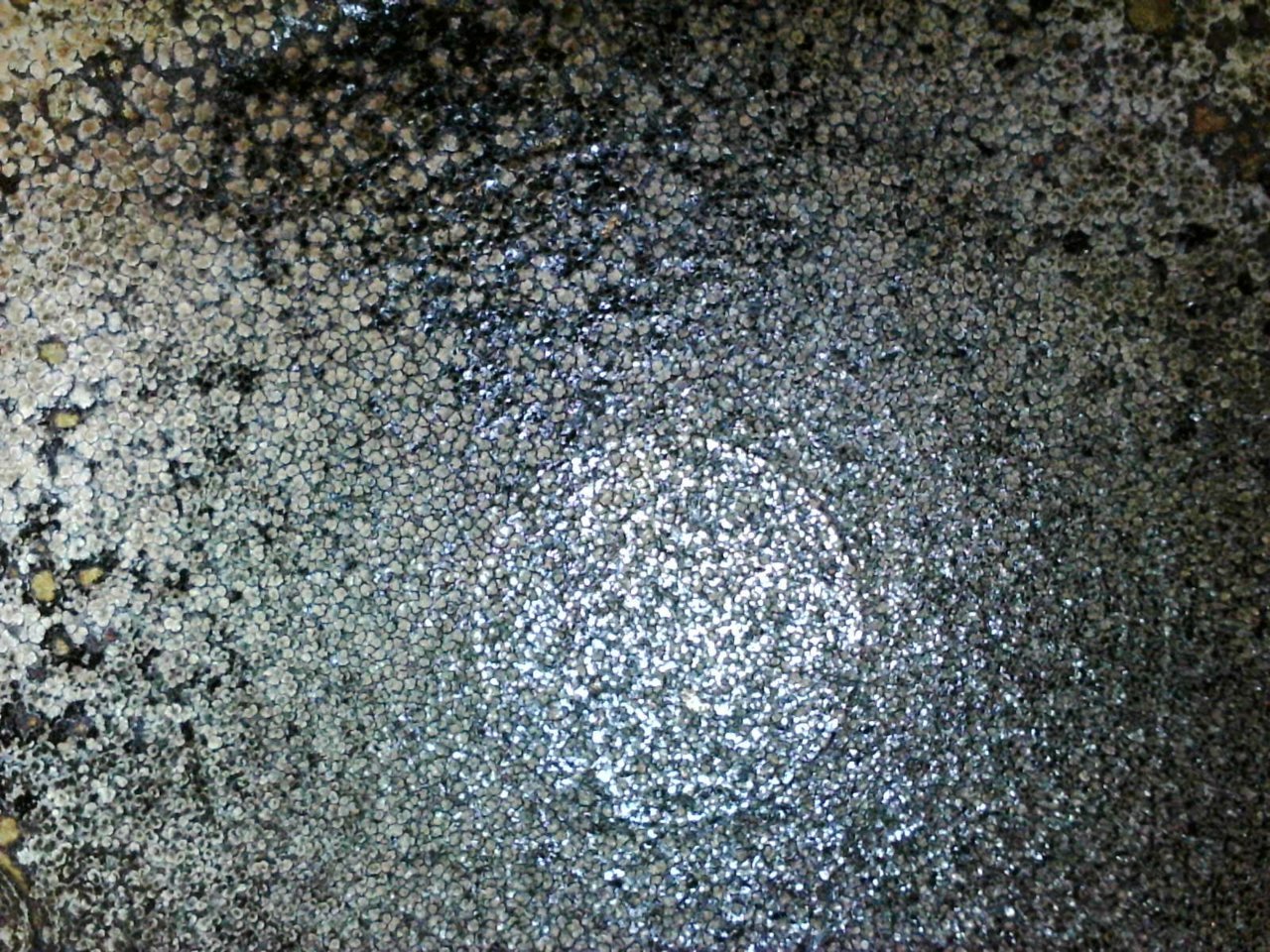 13130A49-14DF-443B-83CB-AF5723A9A54C.jpg