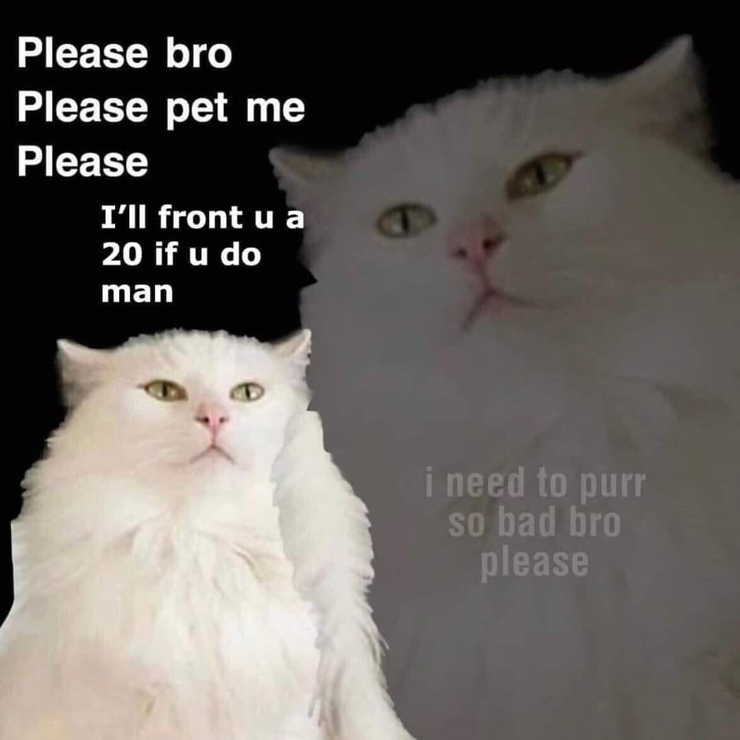 132932458_2566911260268240_466347378803689057_o.jpg