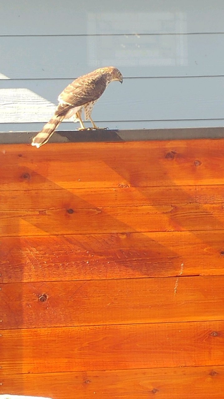 13554_resized.jpg