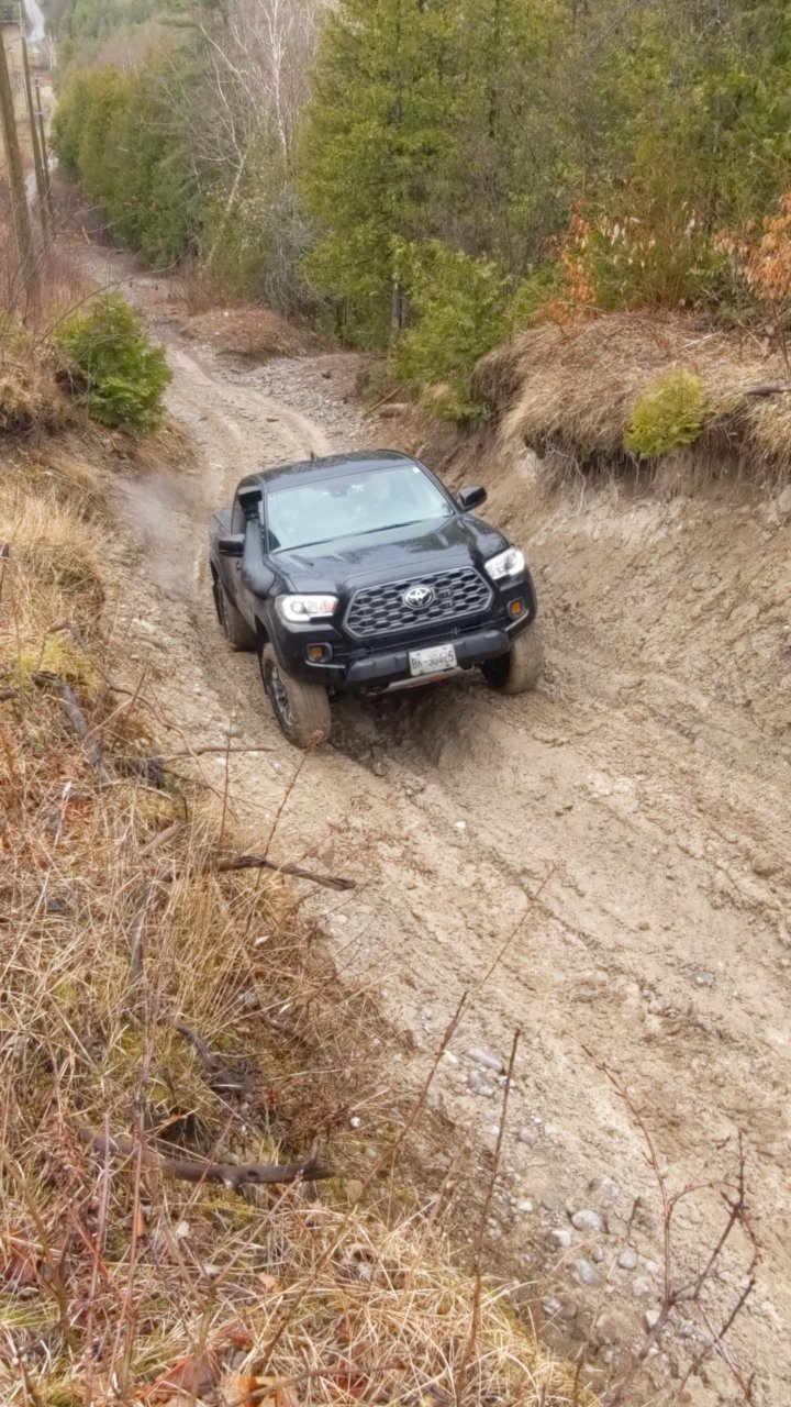 135FD9B7-2EB9-4AAC-960C-E59814183F5D.jpg