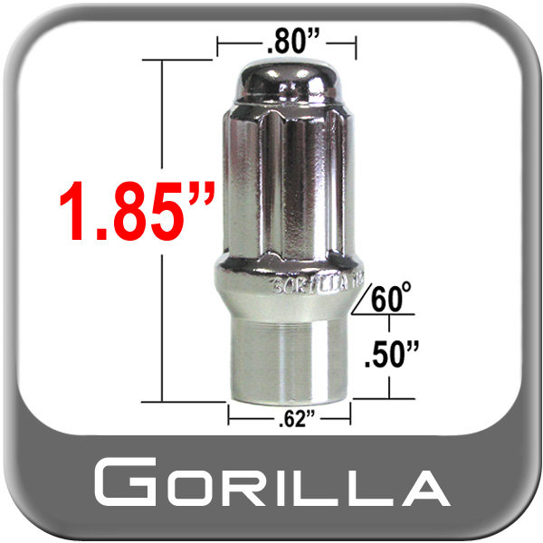 1380C355-8515-409F-9994-0DA324EC13E7.jpg
