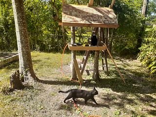 13_9fA4cyHWEnNjbzyADbdrkc_65f0268a133671819bad55205689de18f5dcdadf.jpg