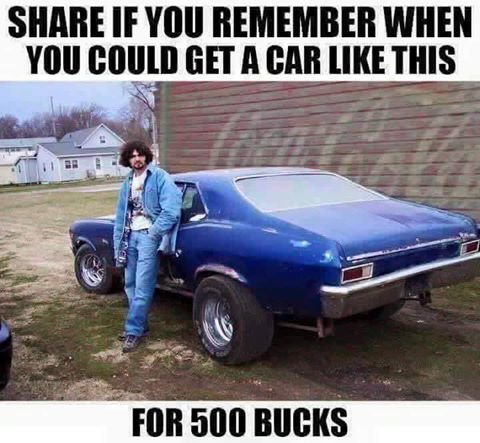 14232472_1207051472659014_4745039850935598173_n.jpg