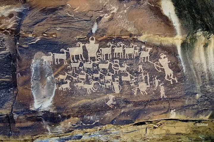 1452314.jpg