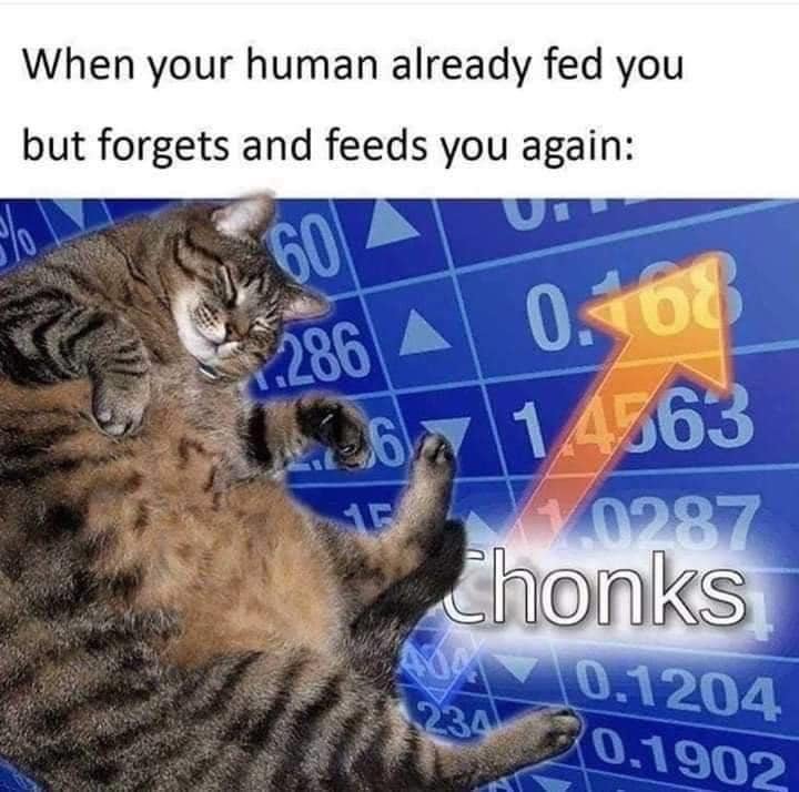 147799030_2596892170603482_2667209621020258354_n.jpg
