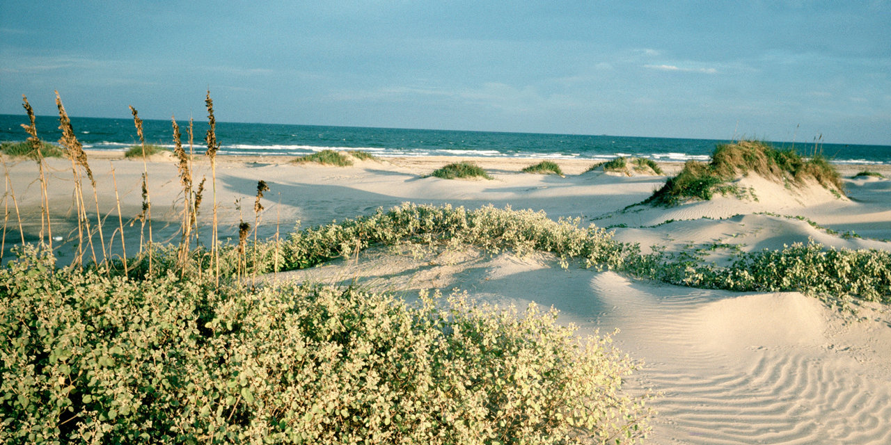 1486400436-south-padre-island-texas-spring-break.jpg