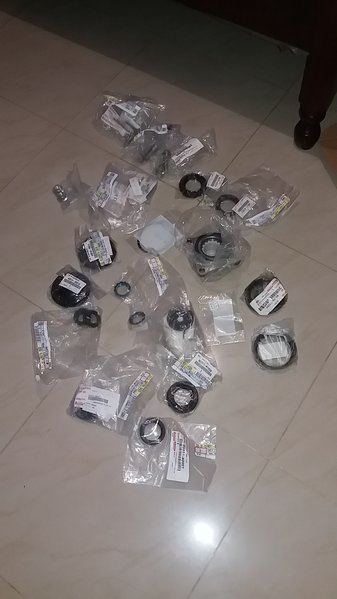 1488027957355-527498737.jpg