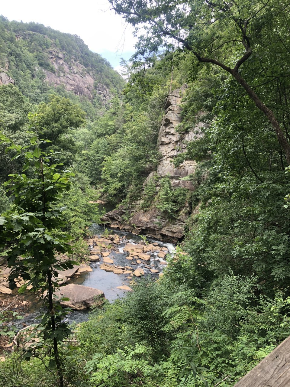 149265D9-44AC-4369-8863-8636C89E7D02.jpg