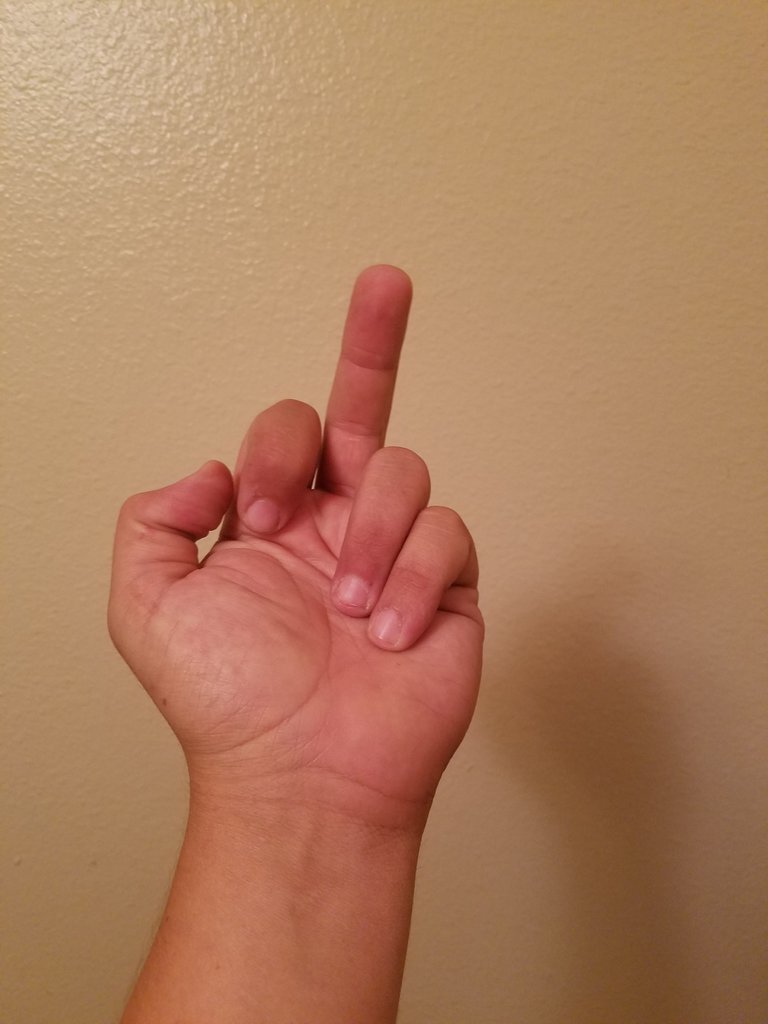 15016847391561897933191.jpg