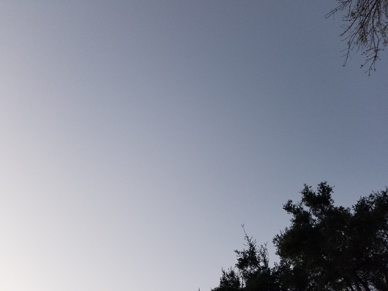 1519091448056690037845.jpg