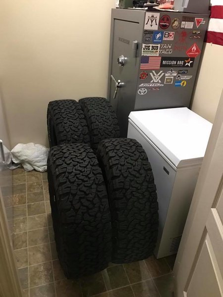 15192528_1298729466838670_2133039483964548560_n.jpg