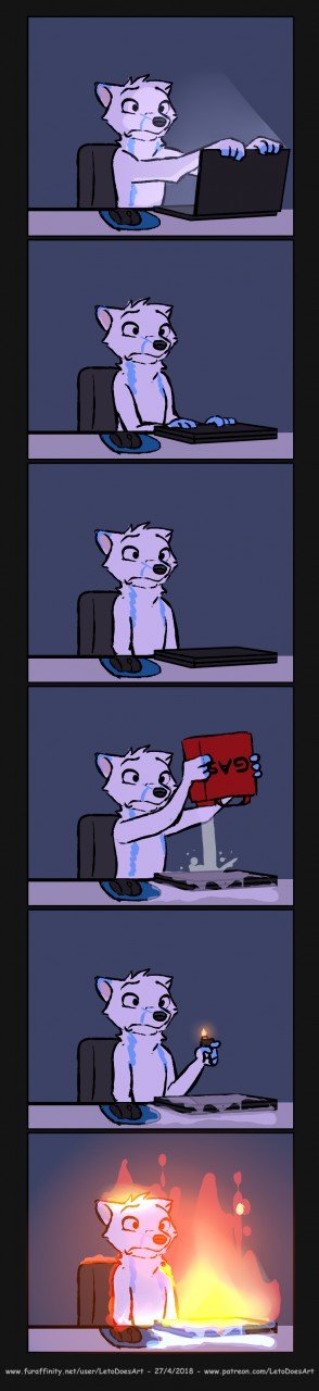 1524781391.leto_laptopclose.jpg