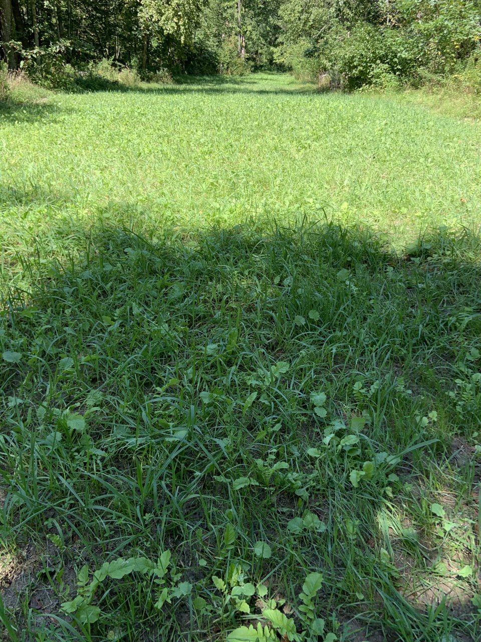 1545B43D-5FE5-4A9F-917B-E7A3E6DC3556.jpg
