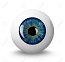 15490796-eyeball-with-shadow-on-white-background.jpg