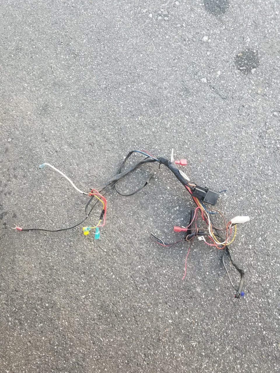 15515687329494858324114827298805.jpg
