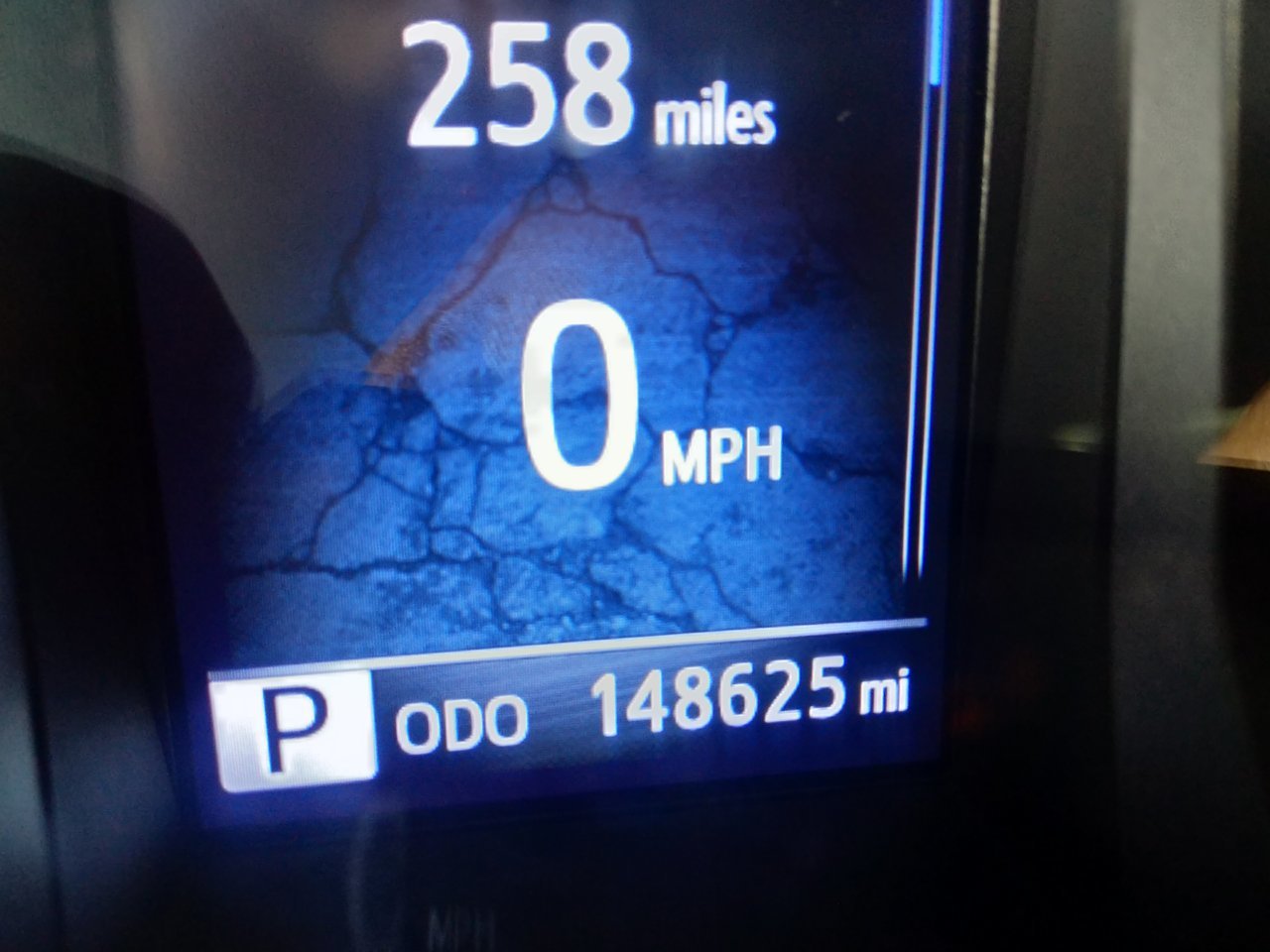 15570084039703372642119514834209.jpg