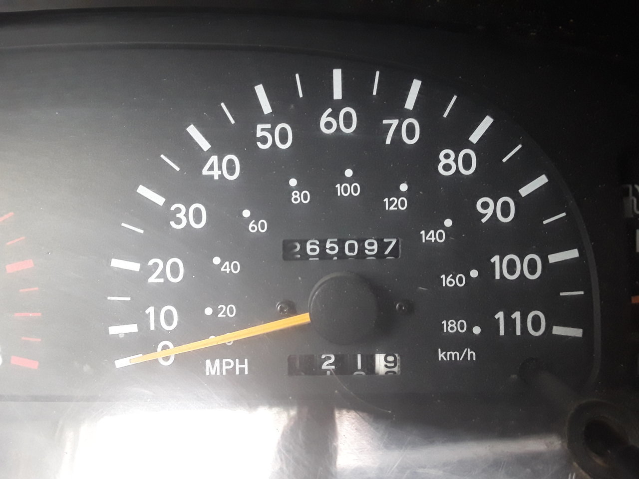 15599959388694292678828627499986.jpg