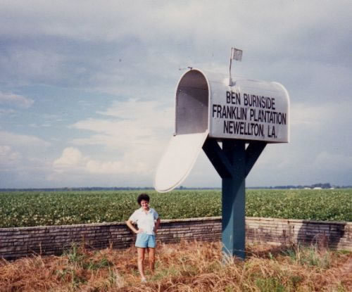 1564-huge-mailbox.jpg