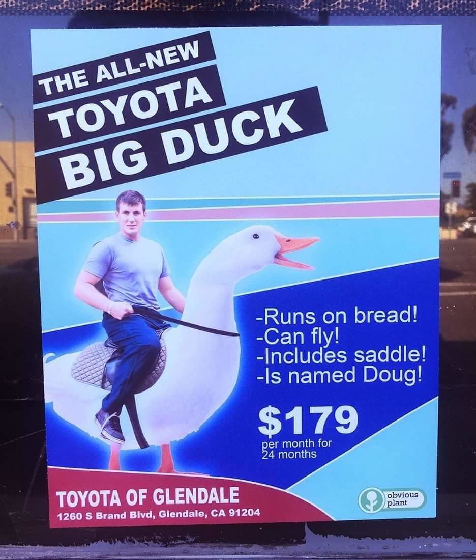 156448727_3956692404392082_139399881825221567_o.jpg