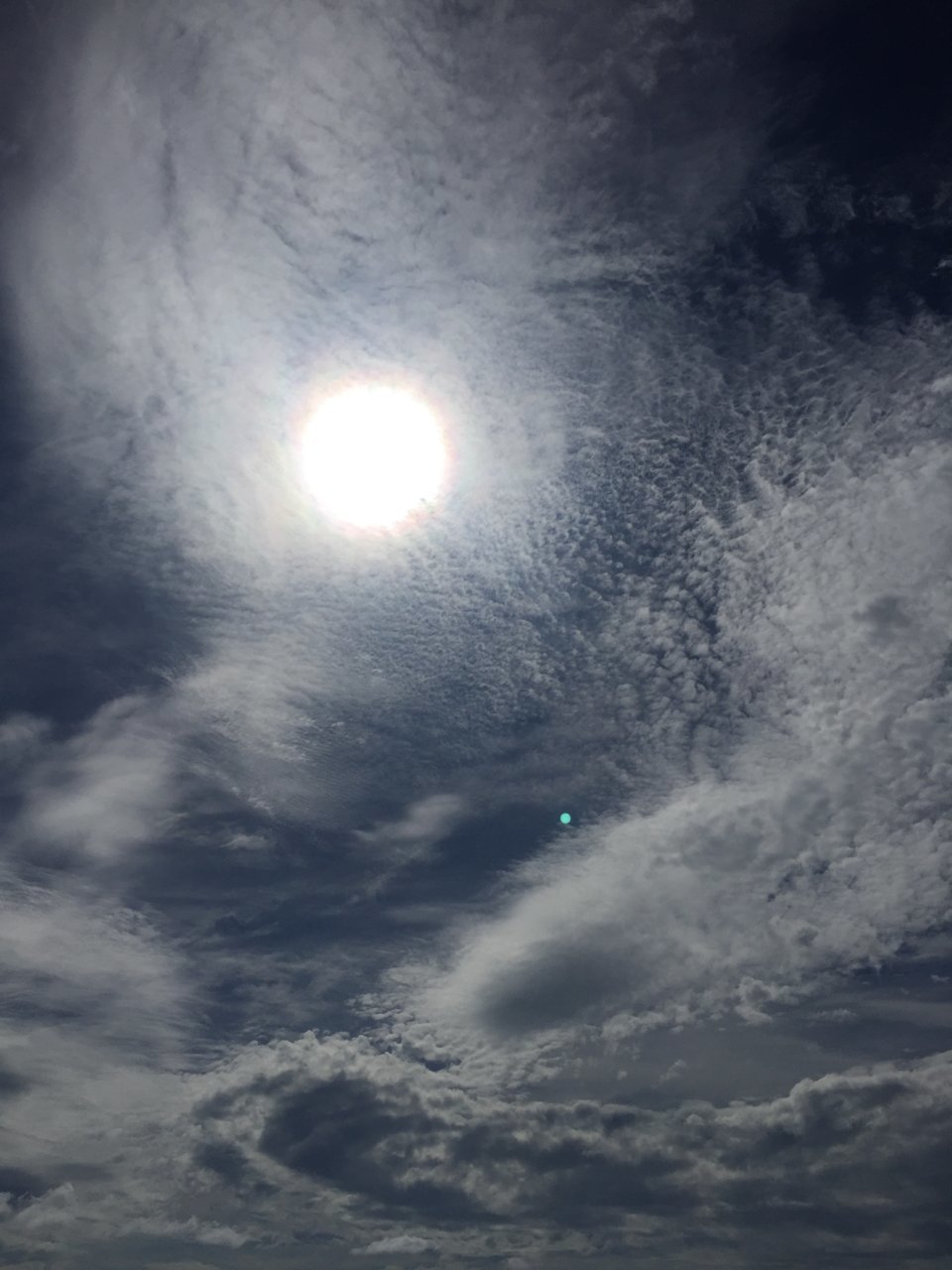 1570C0E3-3D75-4A65-813B-6949293356DE.jpg