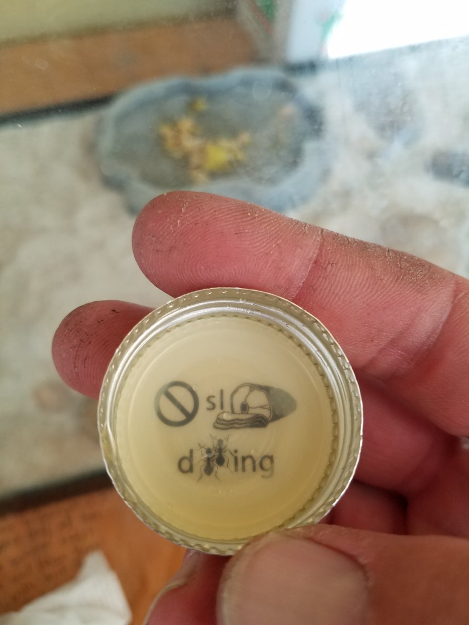 15715108824966892769711764028943.jpg