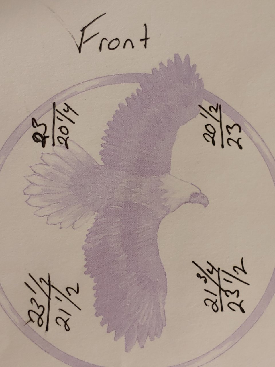 15717861033683137765070779471066.jpg