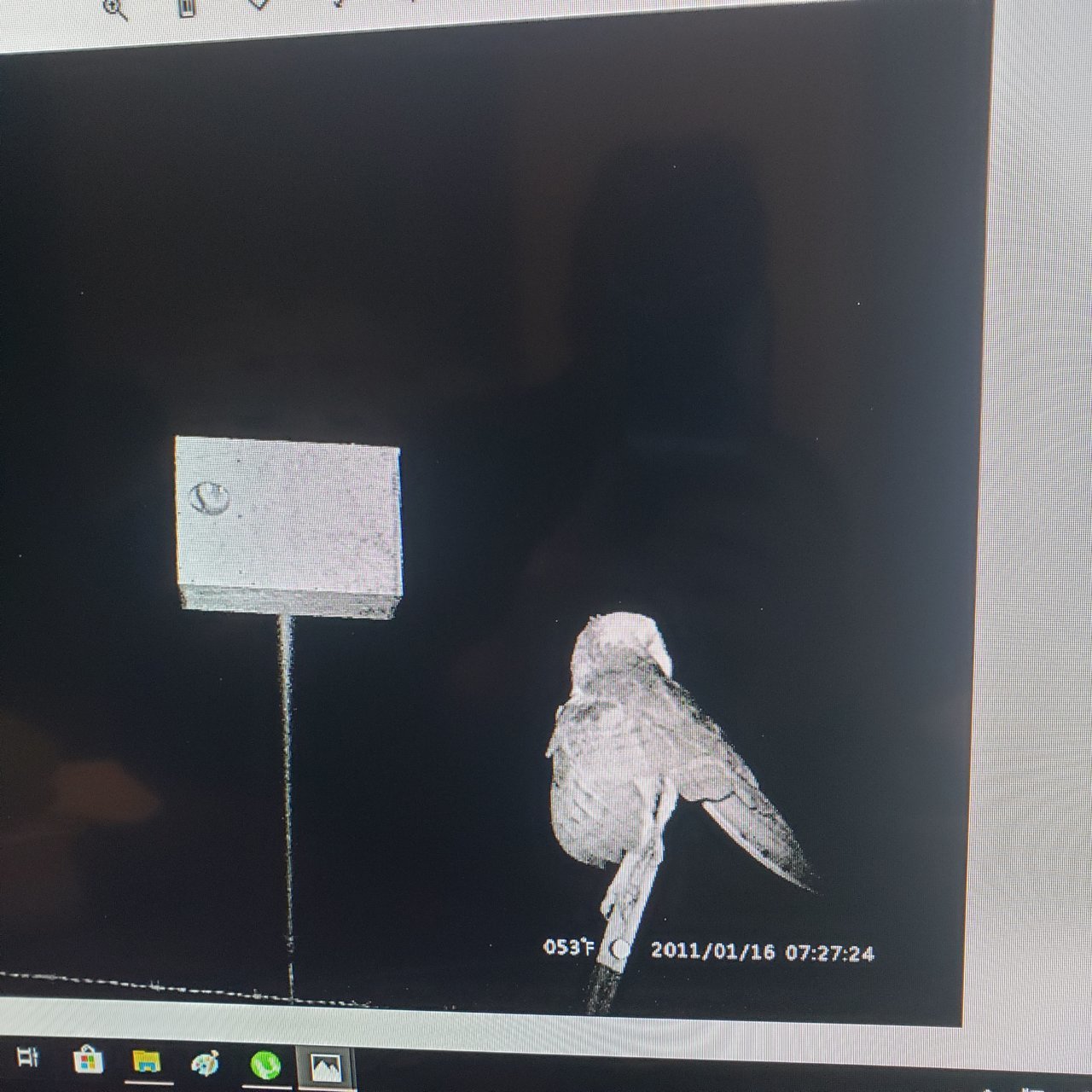 15723162612817259037345797523346.jpg