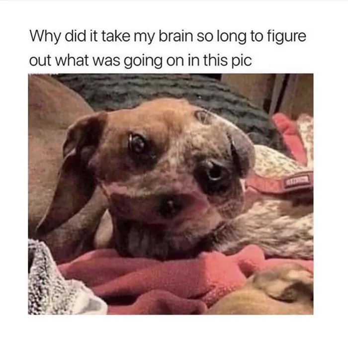 1577108843651.jpg