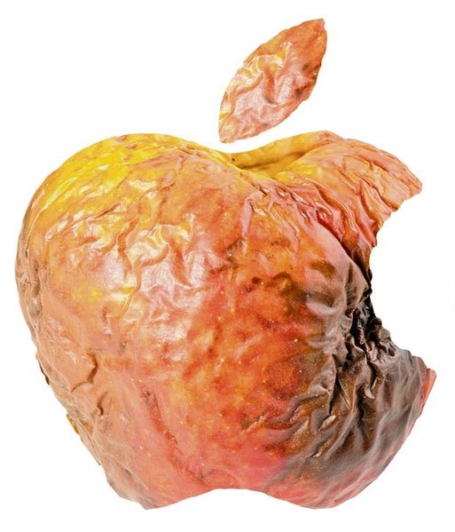 1591394.main_image.jpg