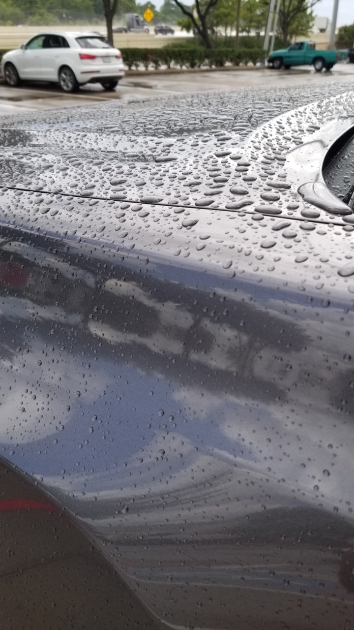 15925986921898075520970386168229.jpg