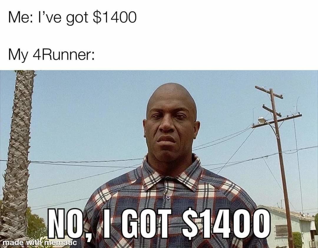 159484211_4492954057387527_1035731038772234572_o.jpg