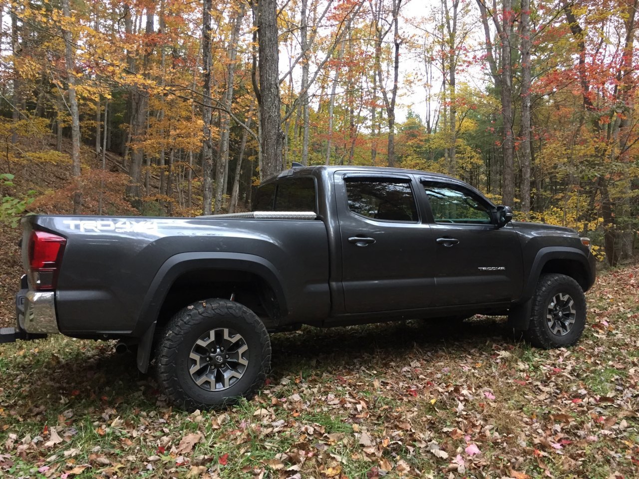 15_lifted_fall_colors.jpg