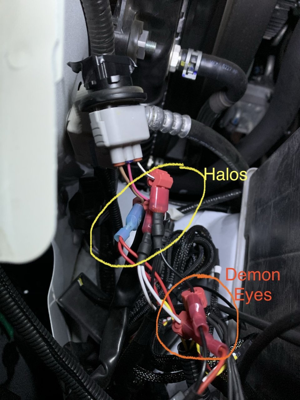 15CAAA45-47FC-48CA-9C37-FE2F270A3135.jpg