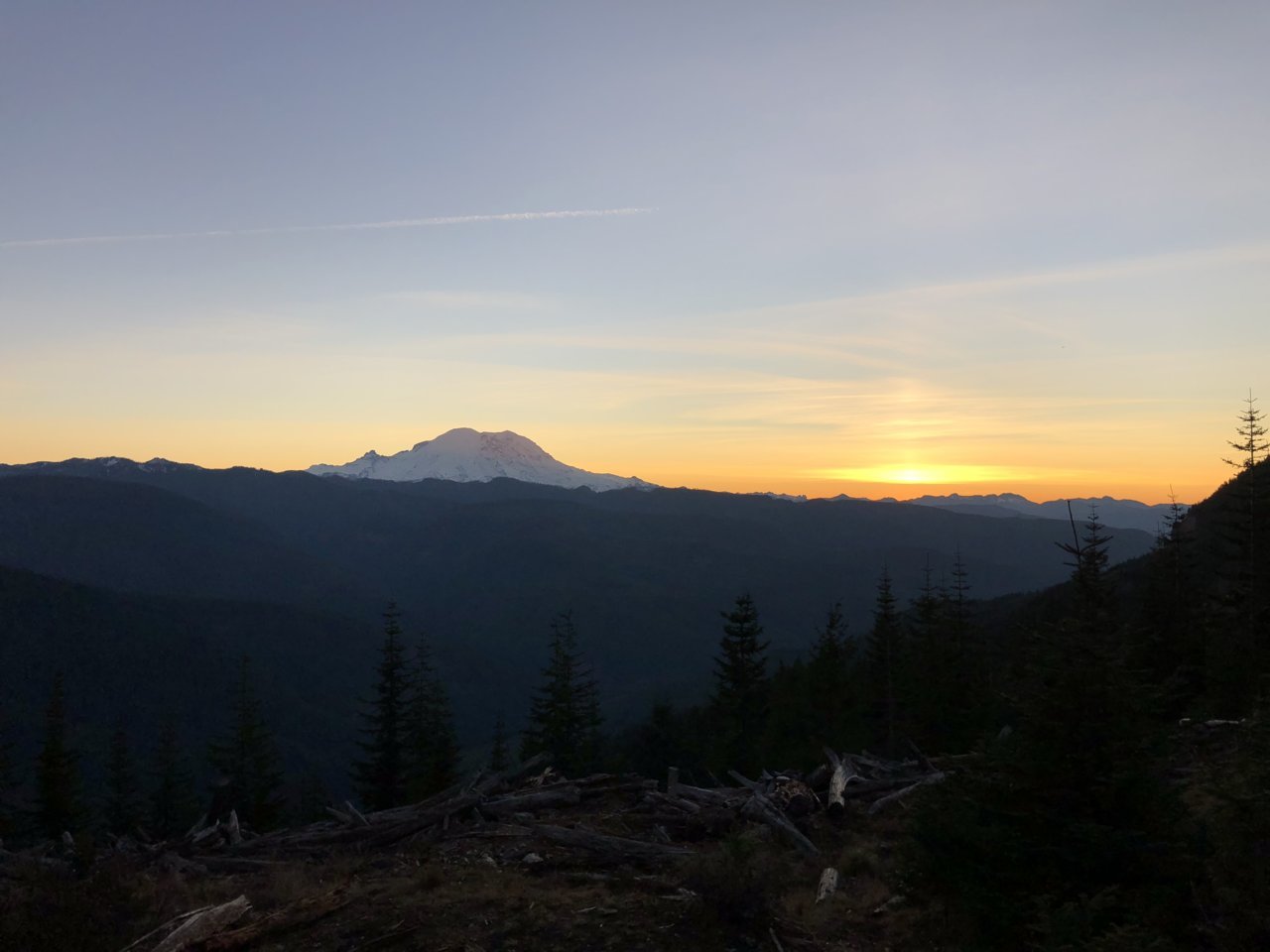 15F147D2-8B3D-411F-89E4-11F1D27B412A.jpg