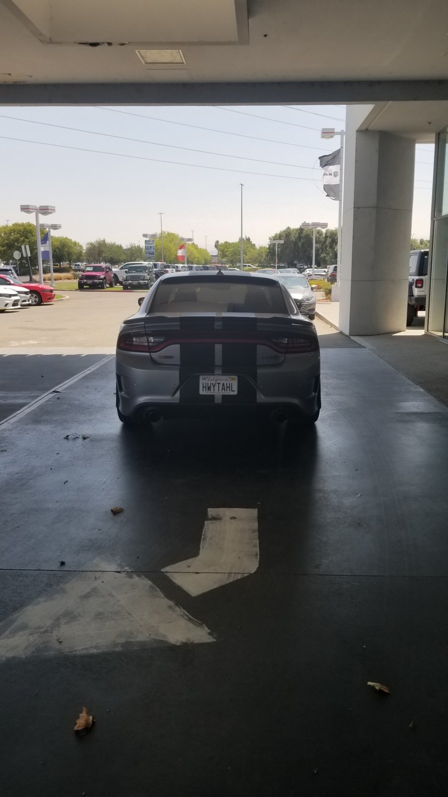 16' HC 2.jpg