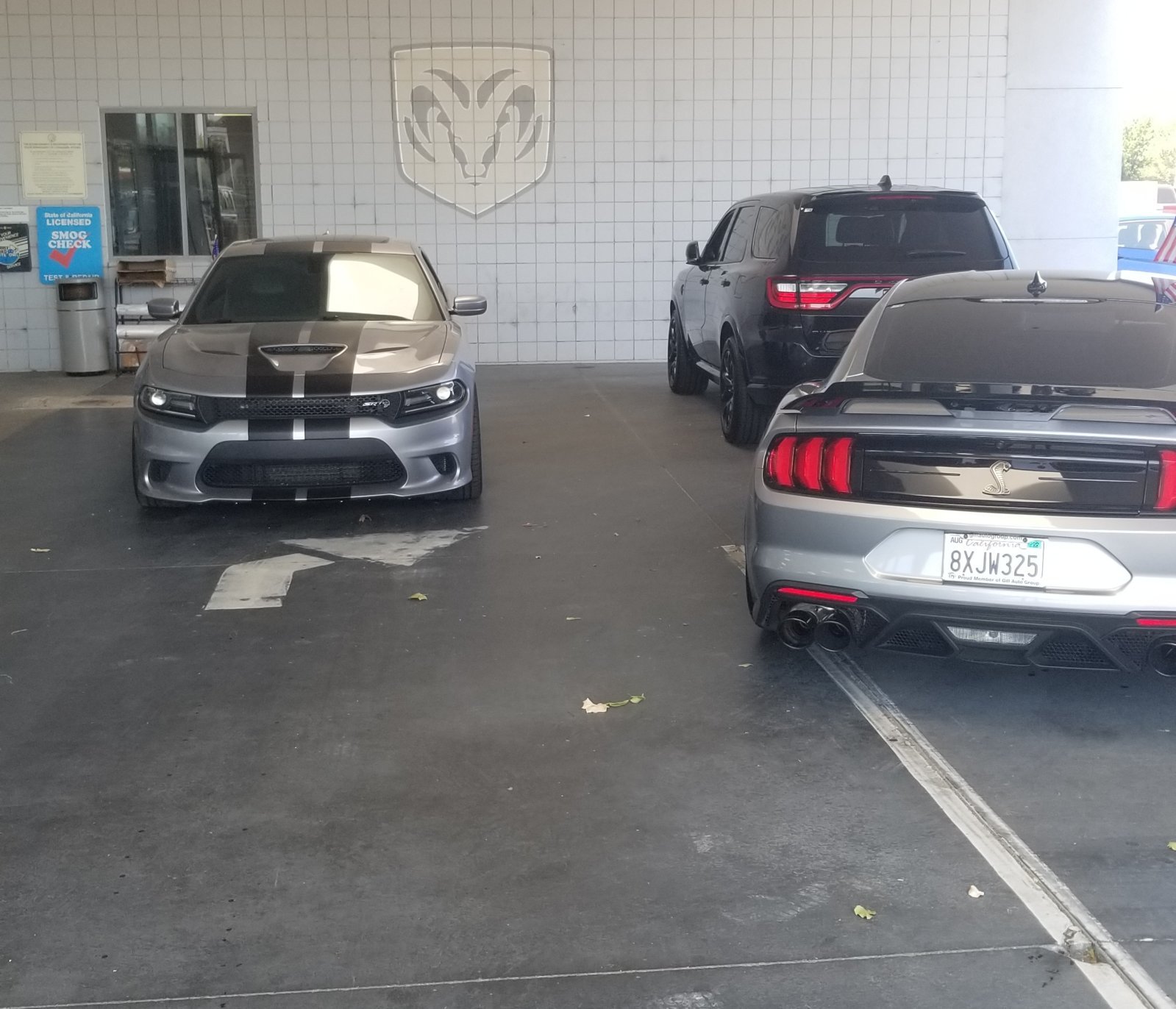 16' HC SHELBY.jpg