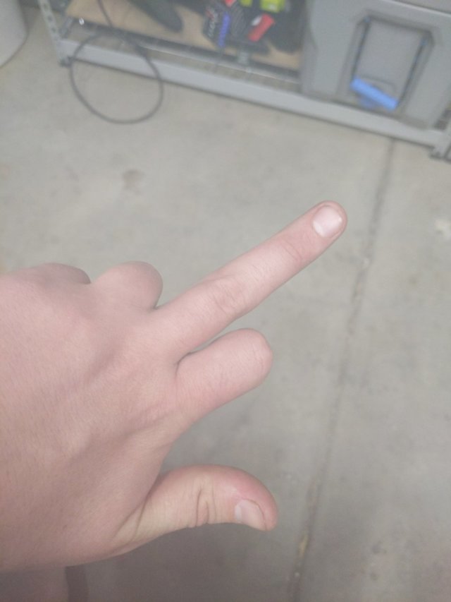 16044544398901217711653921506204.jpg