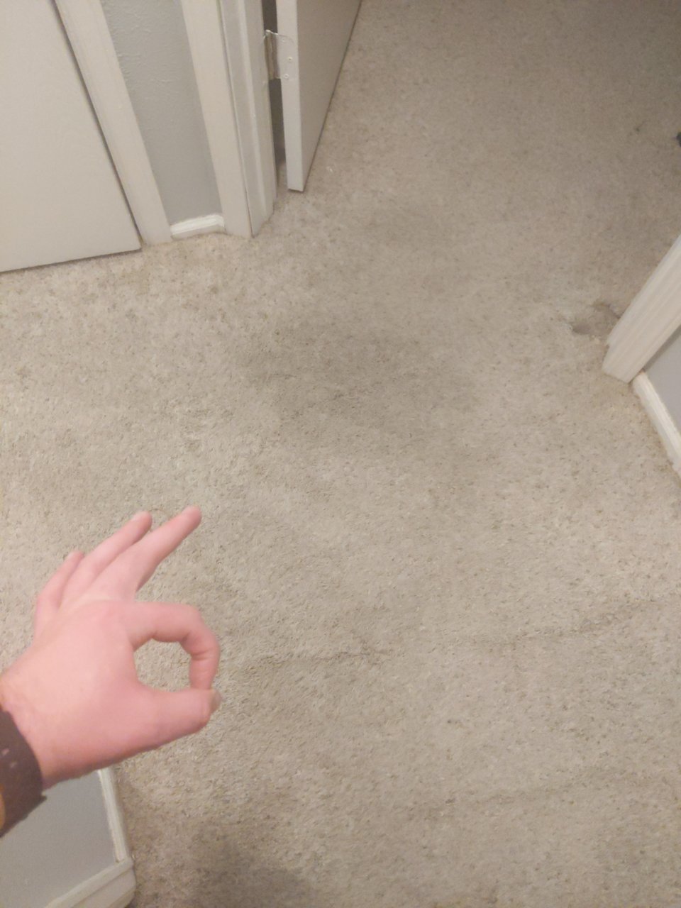 16082518913992004784631733749609.jpg