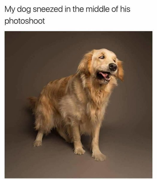 16143306_1395802807143186_6284683811059357671_n.jpg