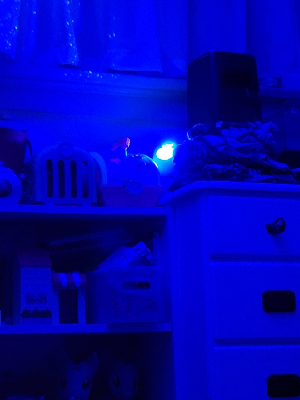 1616729607871639476977683338252.jpg