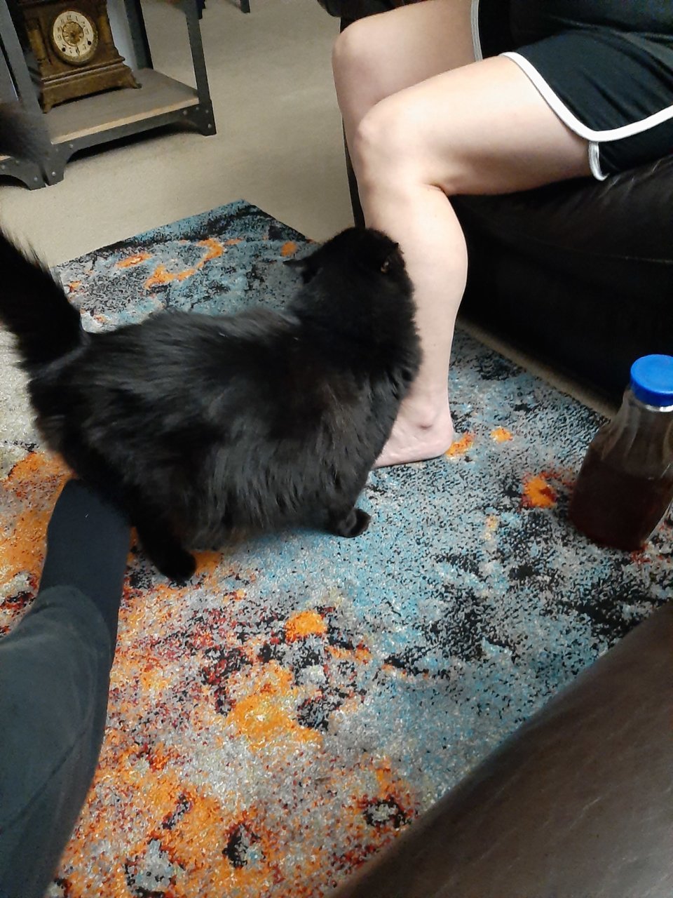 16201078333504163280223536223147.jpg
