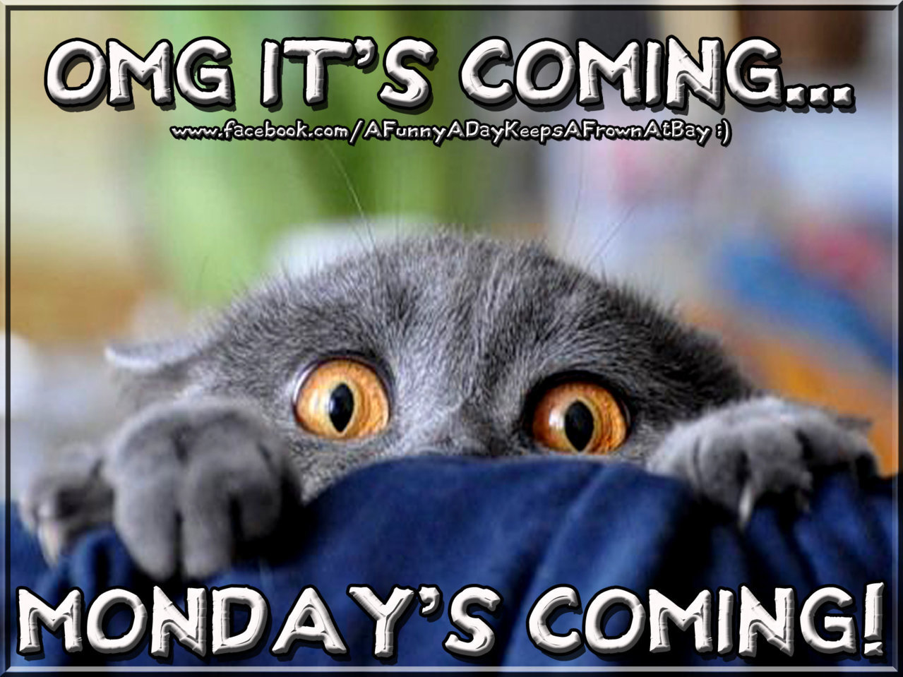 162613-Omg-Mondays-Coming.jpg