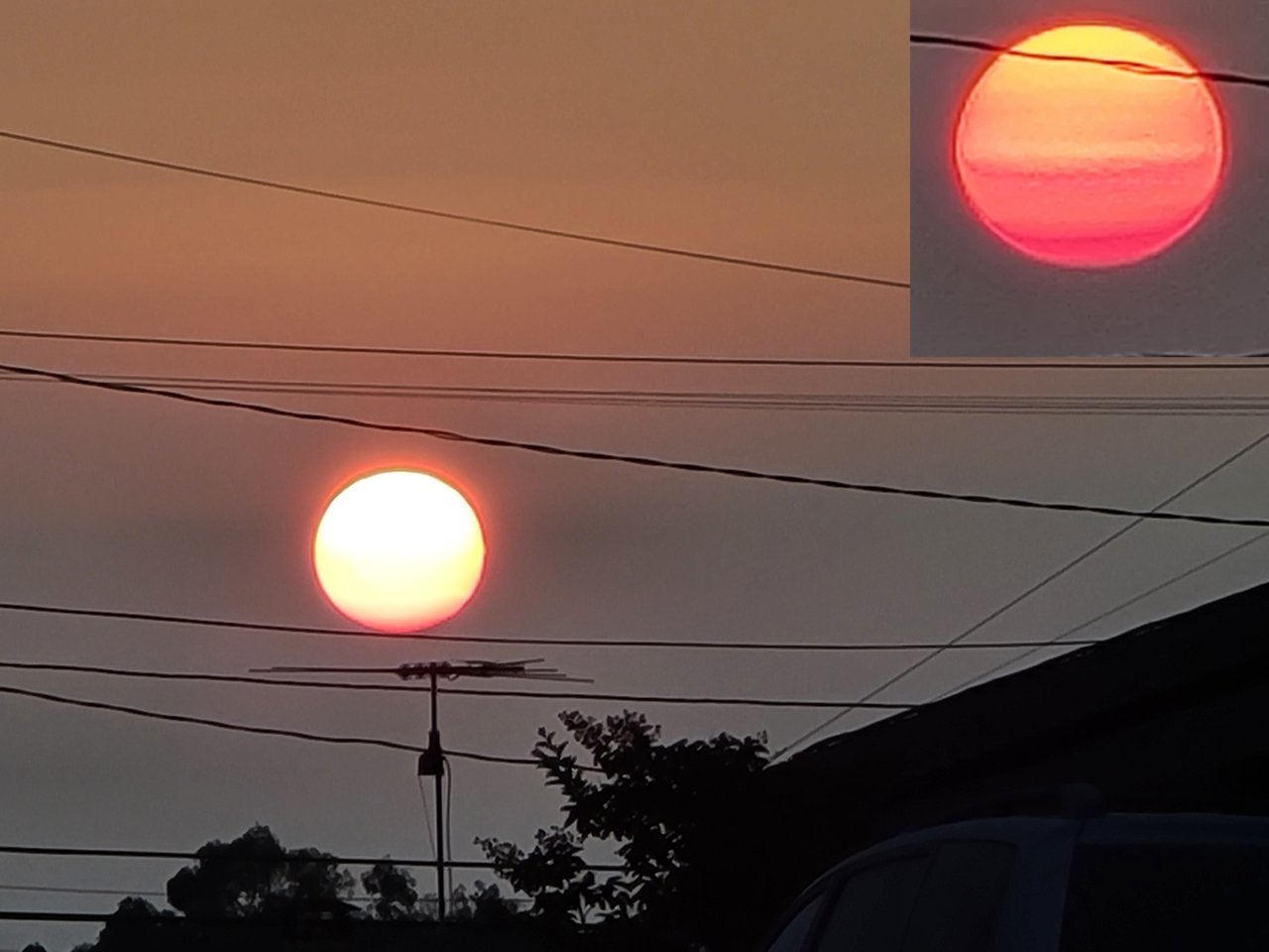 1629696787355.jpg