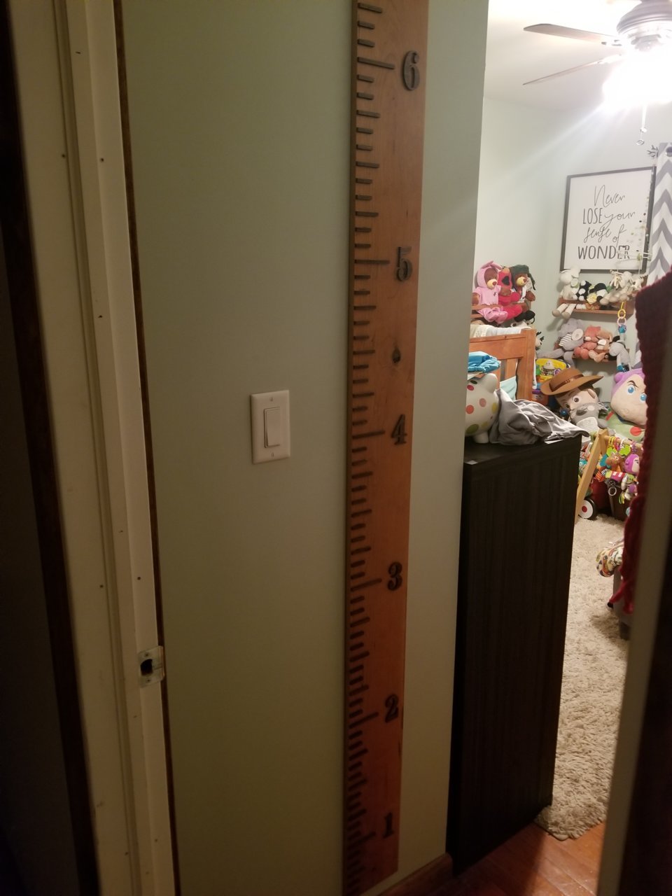 16370284639972428001788709482437.jpg