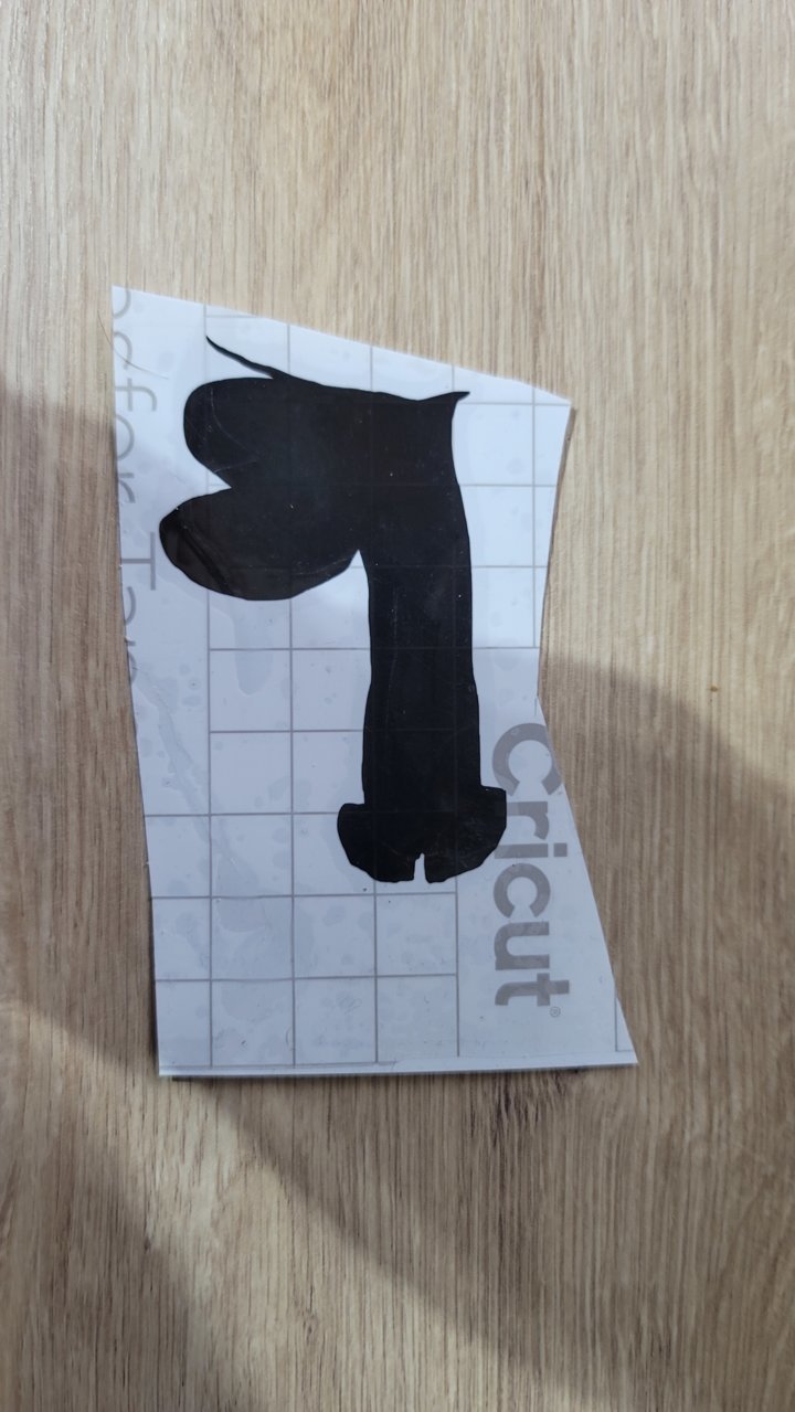 16390727778372614051871942986962.jpg