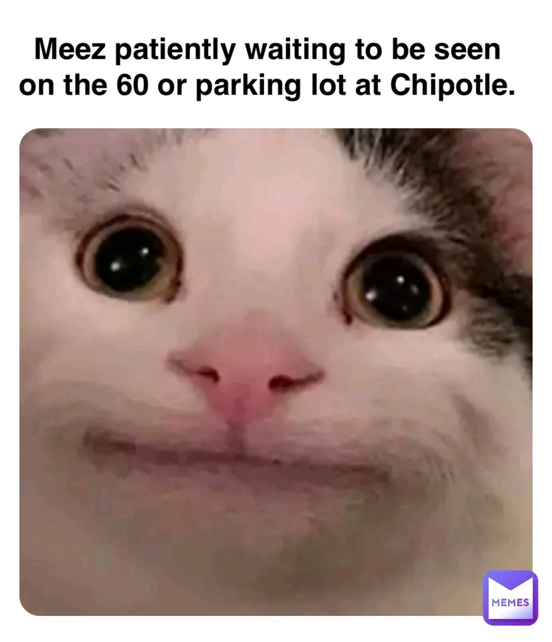 1652319522382.jpg