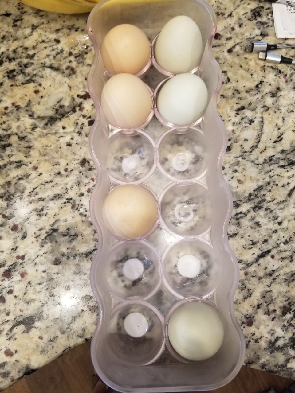 16549646520574399606205936767143.jpg